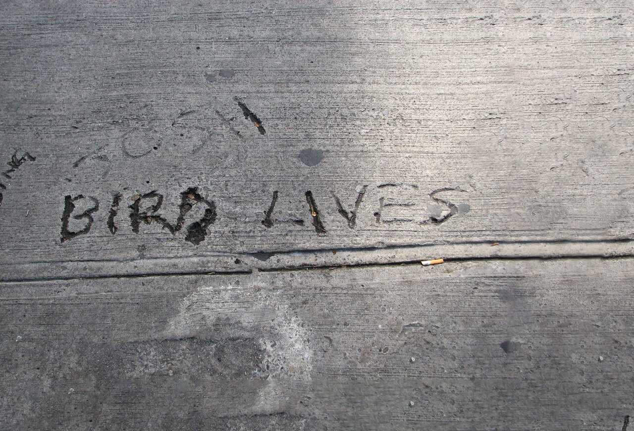 Sidewalk graffiti that says Bird Lives
