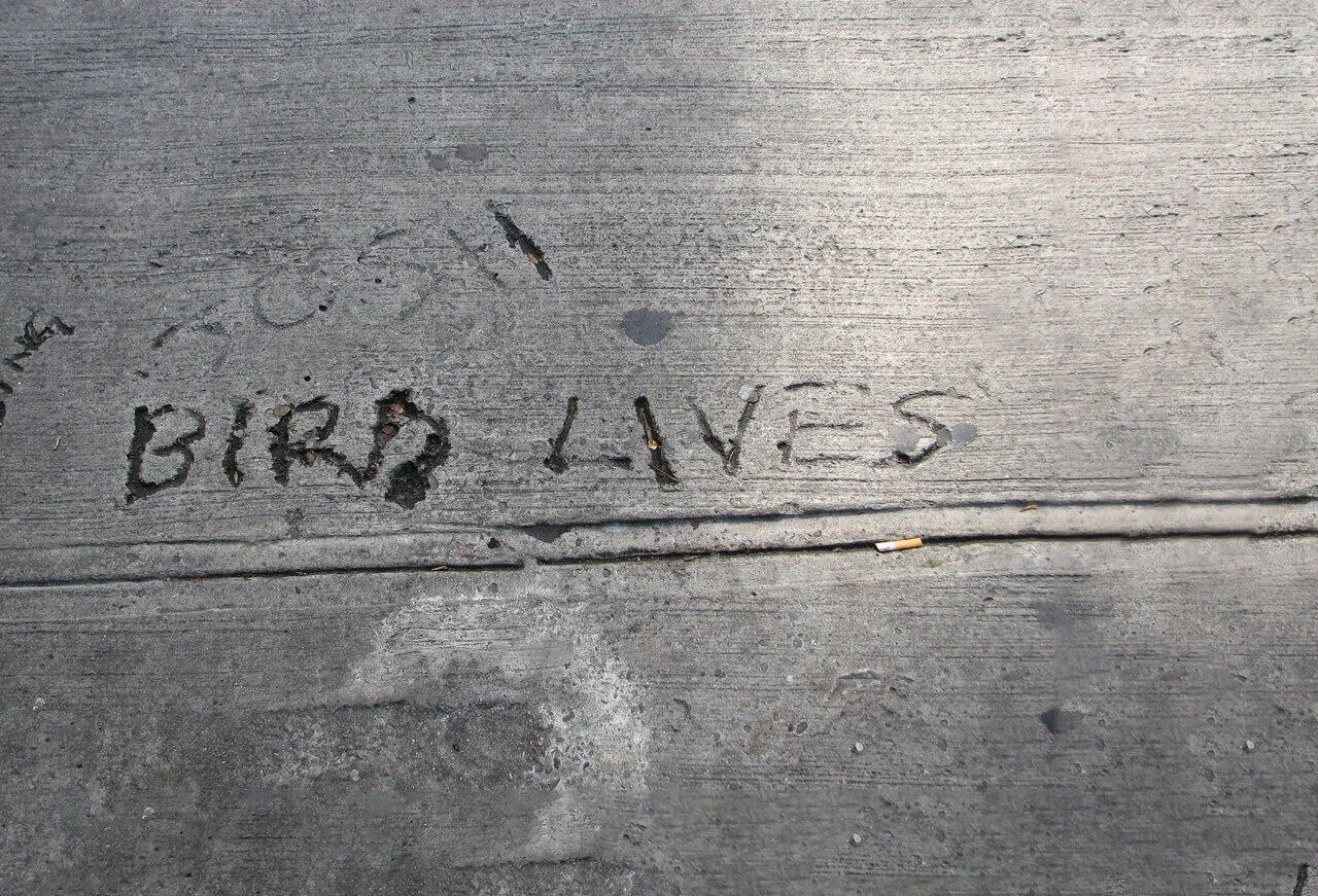 Sidewalk graffiti that says Bird Lives